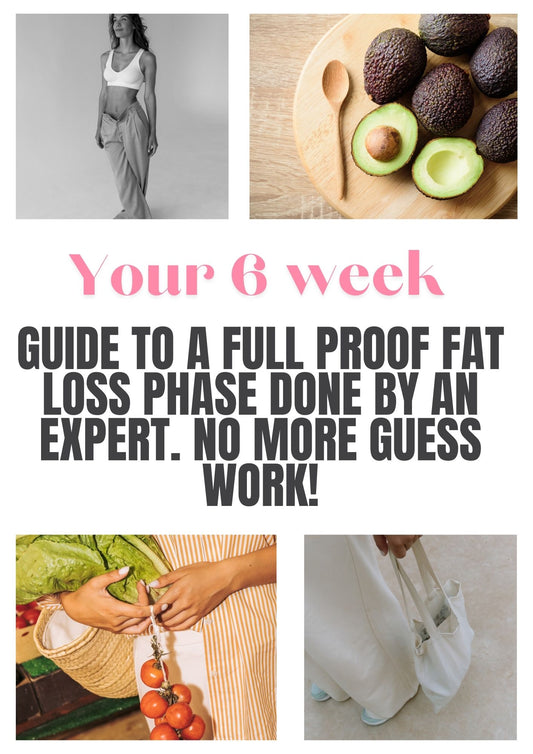 MEAL PLAN + PROGRAM